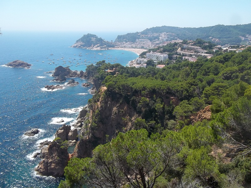 100_1857 - Copie.JPG