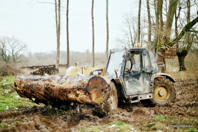 imm005_20.jpg