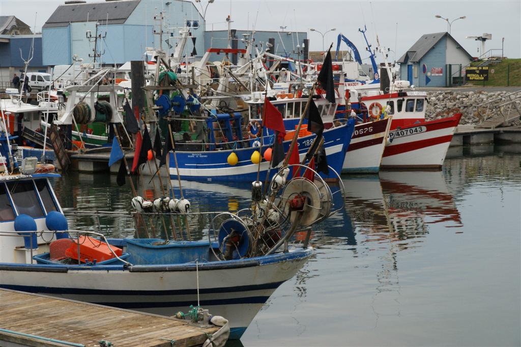 DSC03080 (Large).JPG