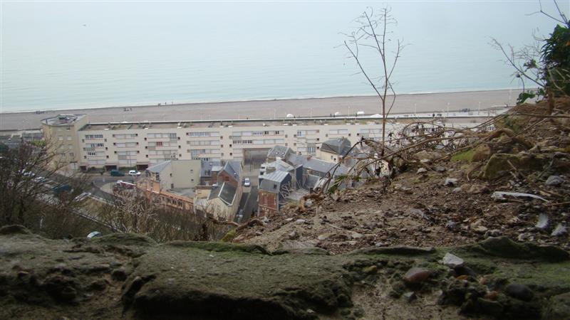 DSC02872 (Medium).JPG