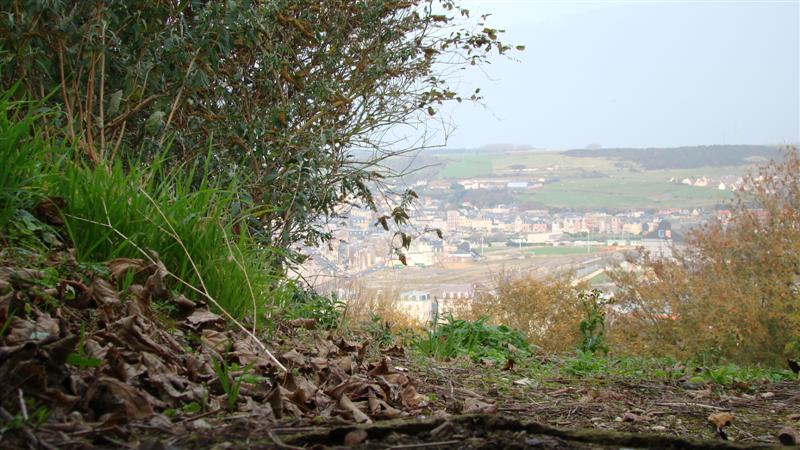 DSC02889 (Medium).JPG