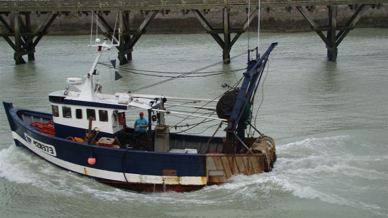 DSC02979 (Medium).JPG