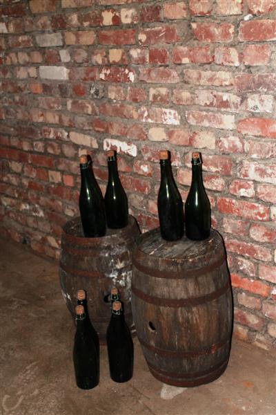 IMG_0501 (Medium).JPG