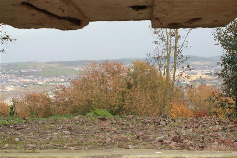 IMG_0515 (Medium).JPG