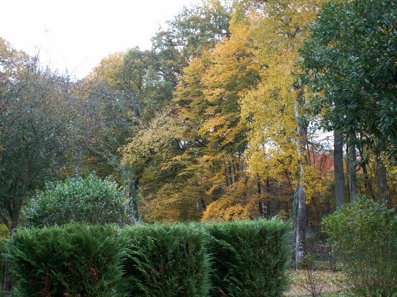 PICT0110.JPG