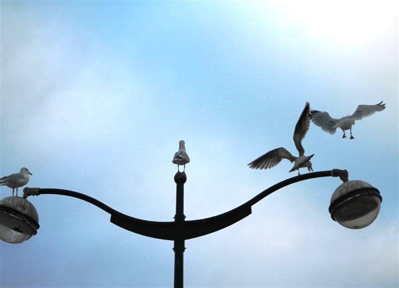 IMG_0932 (Medium).JPG