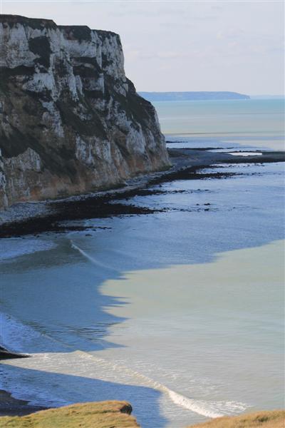 TR . 101 (Medium).jpg