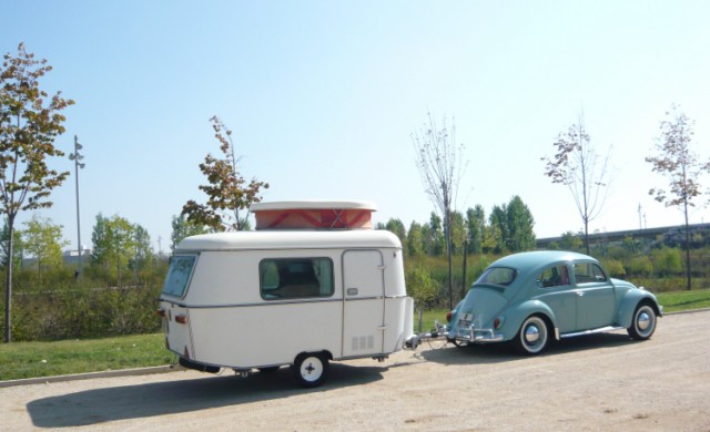 P1310010 - copia.JPG