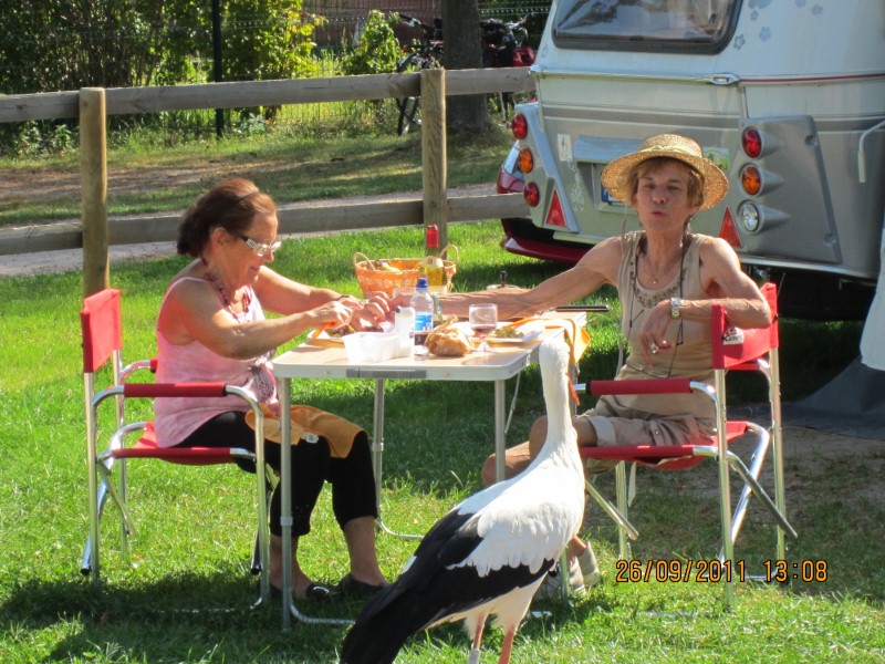 IMG_0277 (800x600).jpg