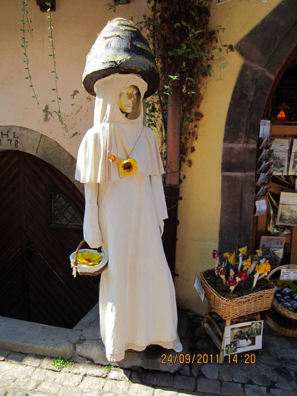 IMG_0087 (600x800).jpg