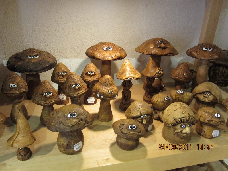 IMG_0090 (800x600).jpg