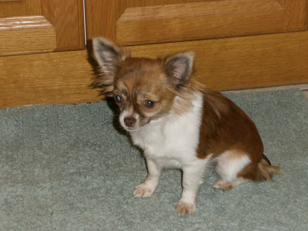 PB190022 (Copier).JPG