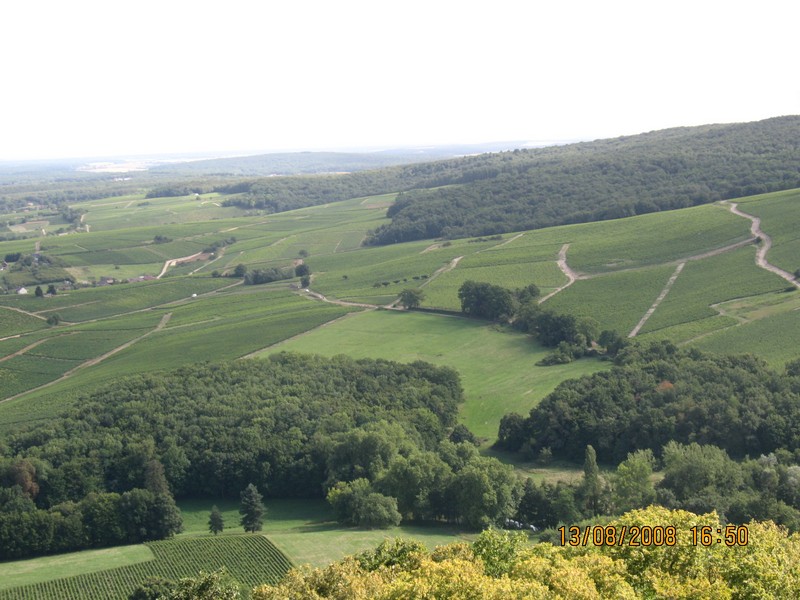 IMG_2172 [800x600].JPG