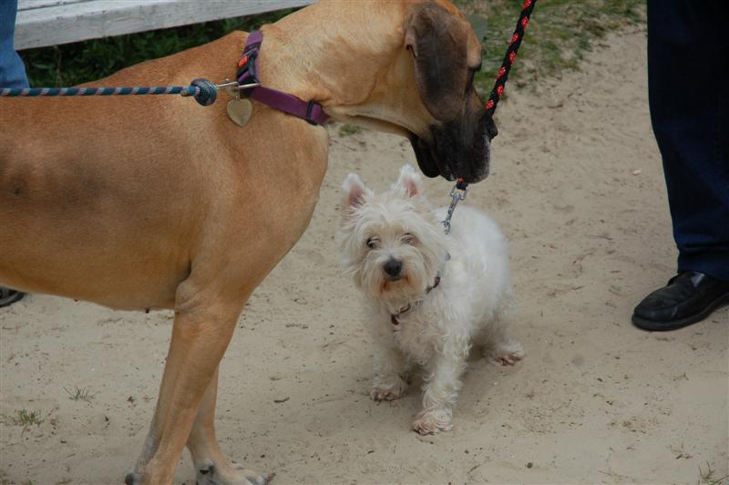 DSC_9472 (Medium).JPG