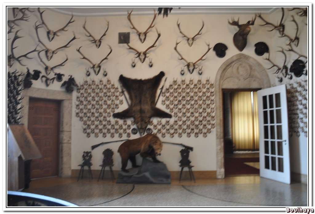 Chasse 2.jpg