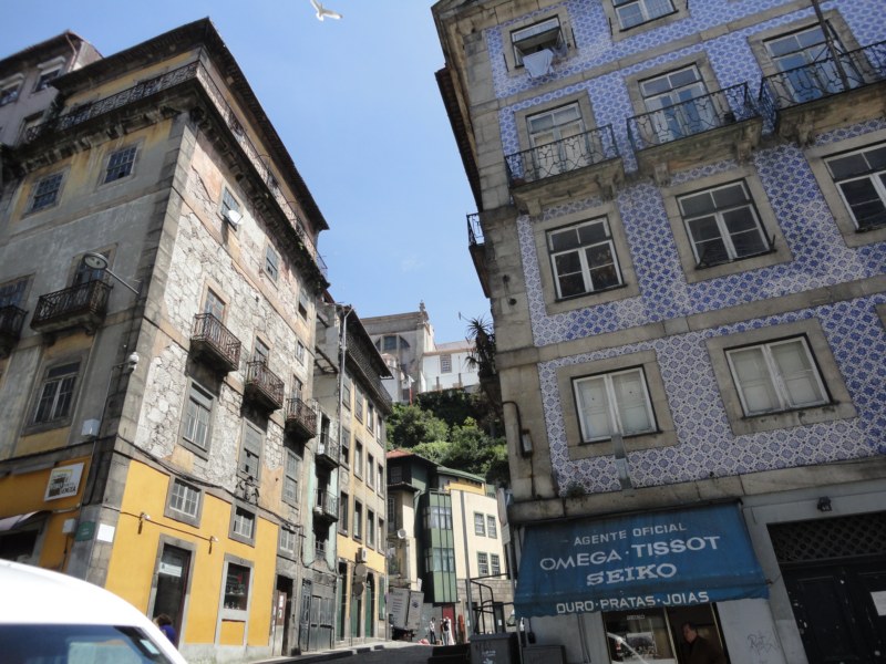 DSC03046 [800x600].jpg