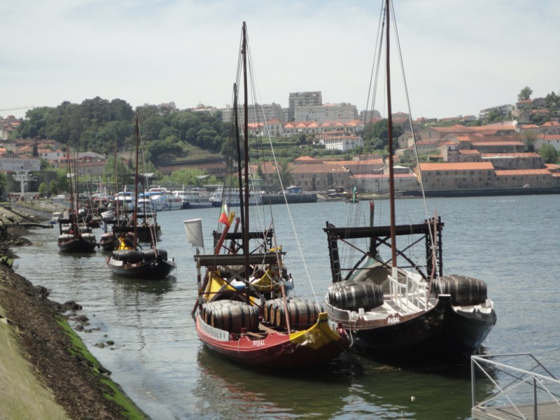 DSC03058 [800x600].jpg