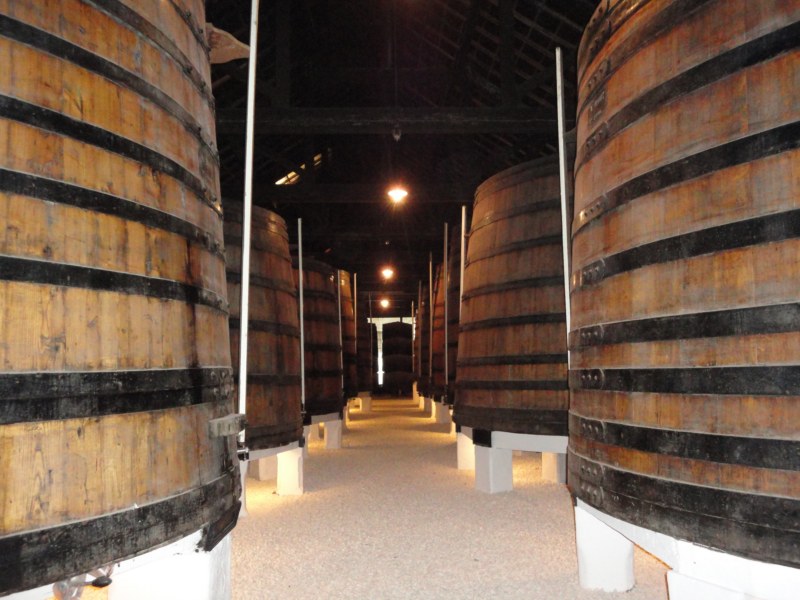 DSC03063 [800x600].jpg