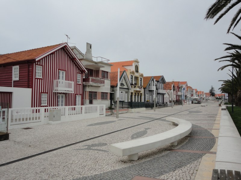 DSC03072 [800x600].jpg