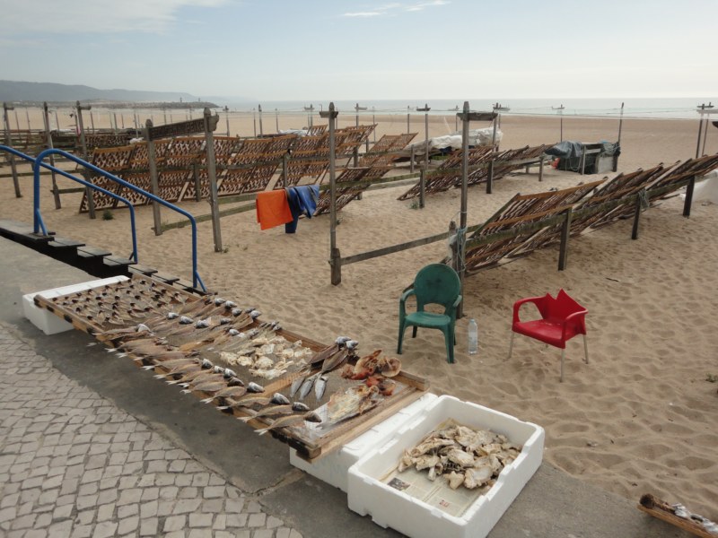 DSC03074 [800x600].jpg