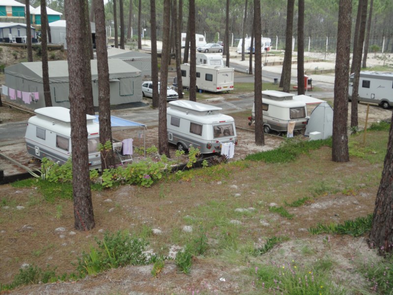 DSC03078 [800x600].jpg