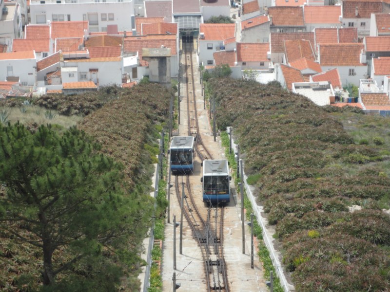 DSC03097 [800x600].jpg