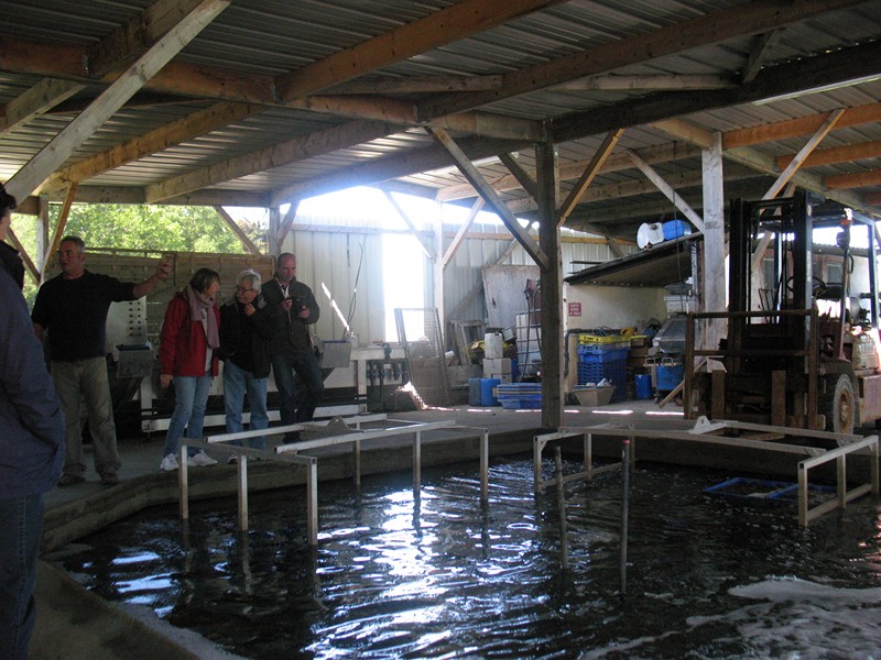 IMG_0536 [800x600].JPG