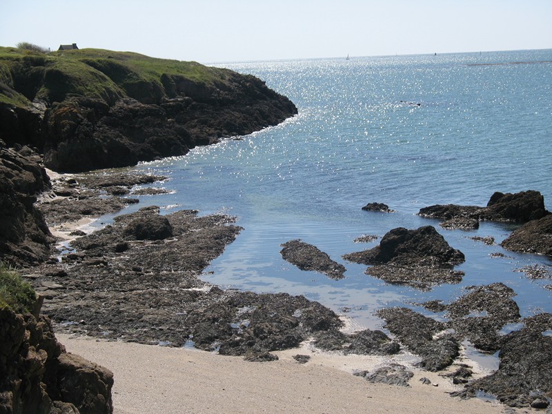 IMG_0602 [800x600].JPG