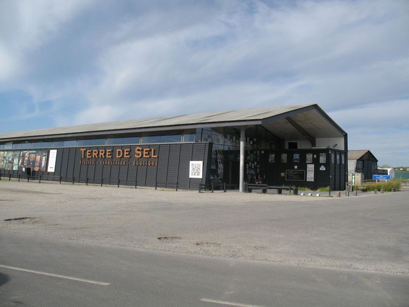 IMG_0776 [800x600].JPG