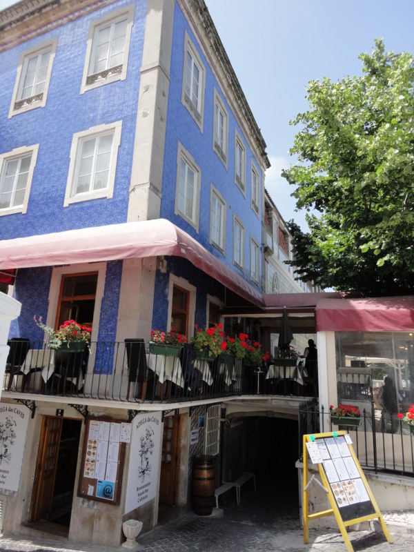 DSC03183 [800x600].jpg