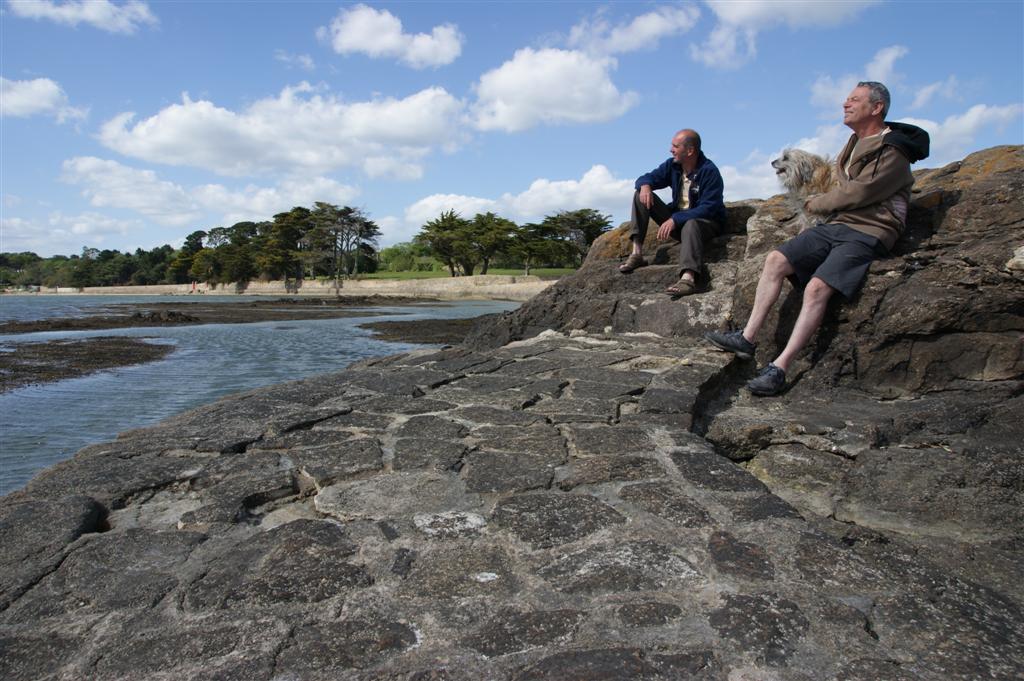 DSC03355 (Large).JPG