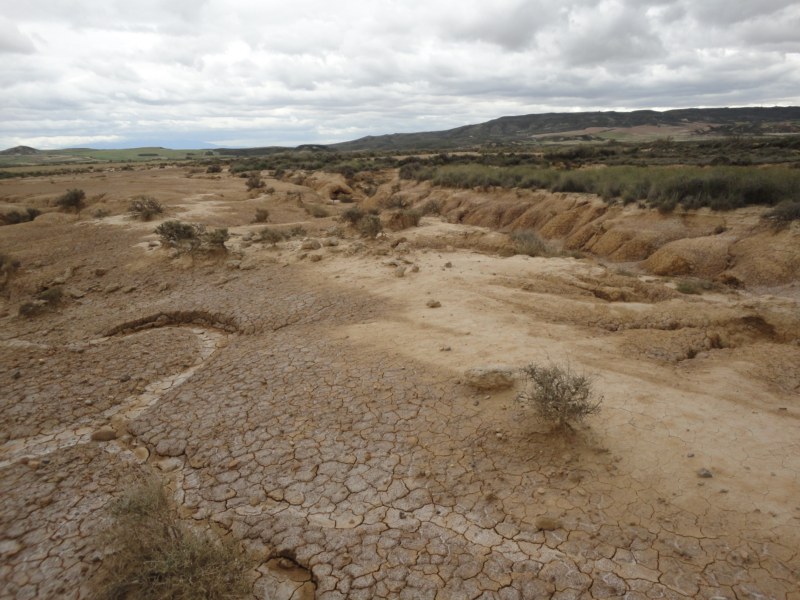 DSC03285 [800x600].jpg