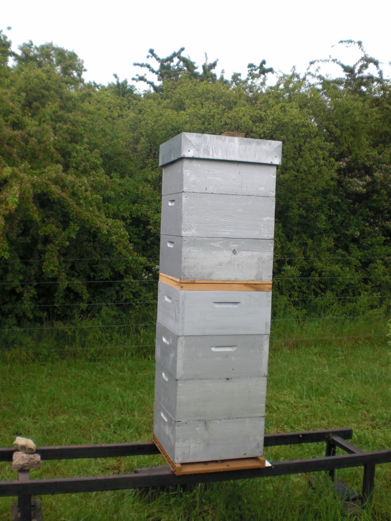 3 ausses a récolter sur cette ruche (768x1024).jpg