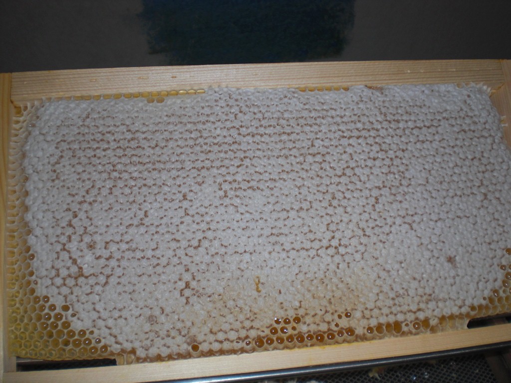 un beau cadre a desoperculer (1024x768).jpg