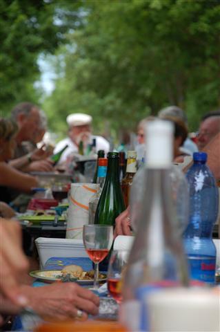 DSC_9920 (Mobile).JPG