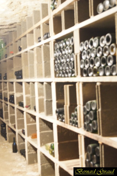 DSC01196 [1024x768].JPG