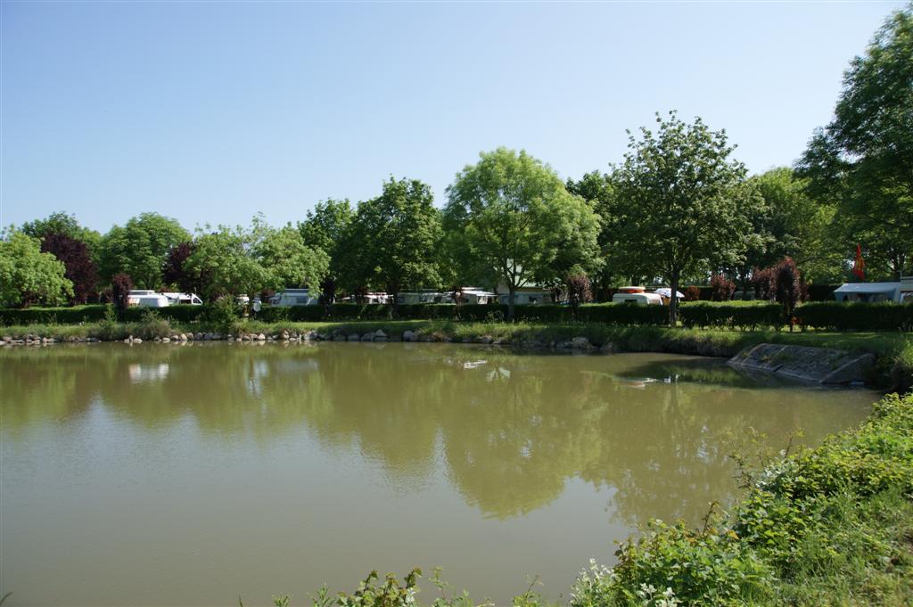 DSC03389 (Large).JPG