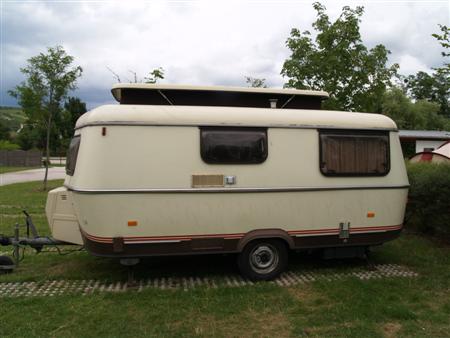 Troll version A vue profil gauche .JPG