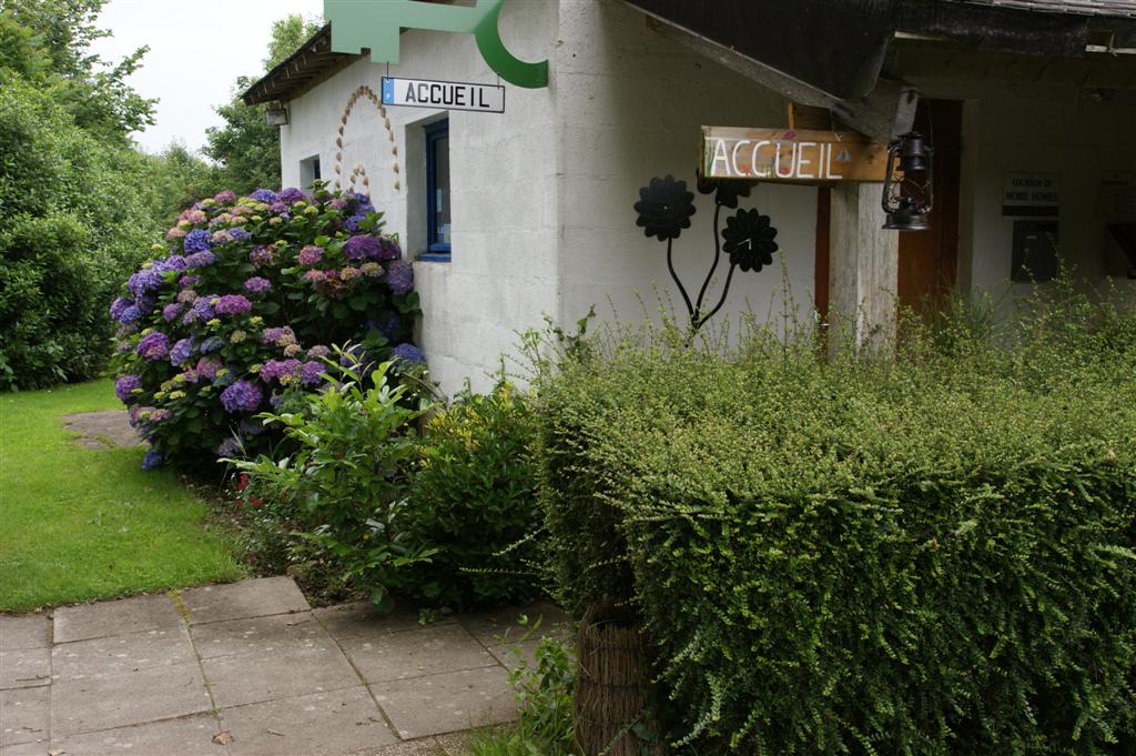 DSC03483 (Large).JPG