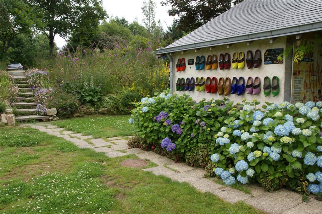 DSC03487 (Large).JPG