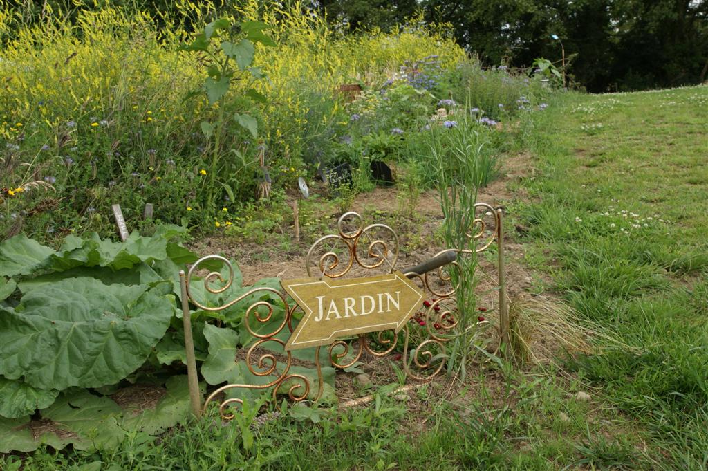 DSC03496 (Large).JPG