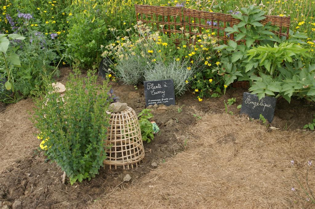 DSC03499 (Large).JPG