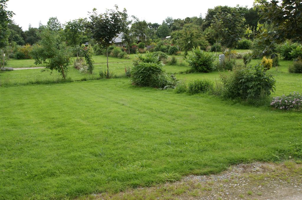 DSC03500 (Large).JPG