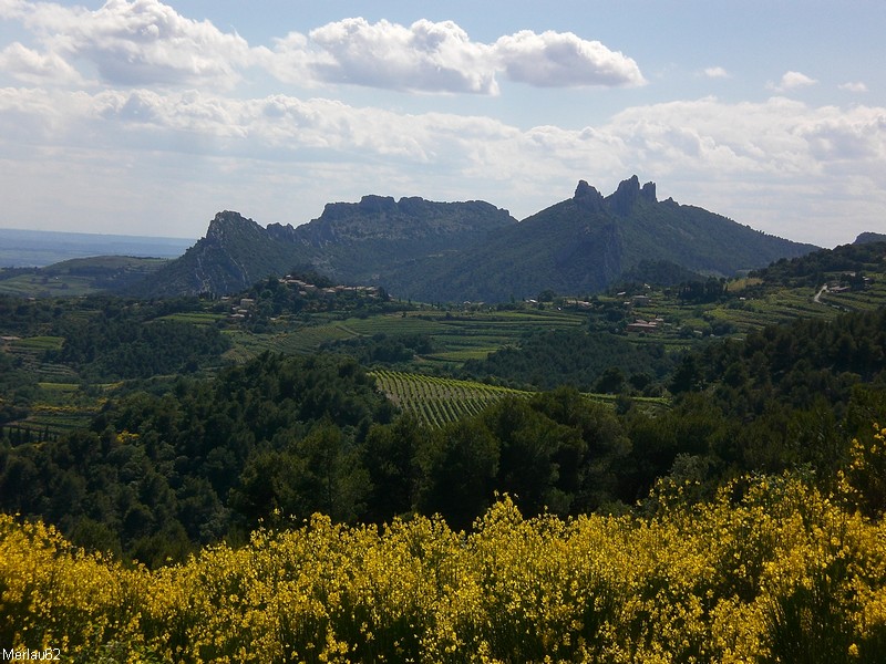 Les dentelles de Montmirail