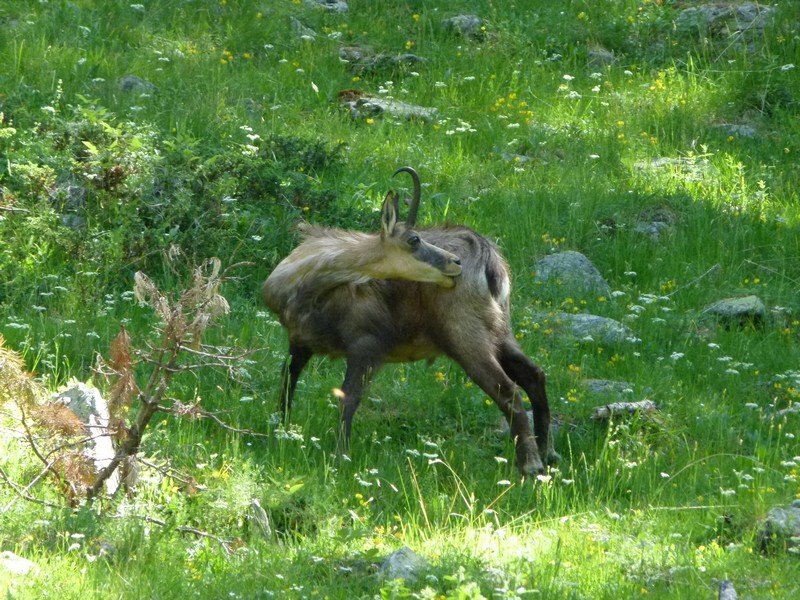 P1010523.JPG