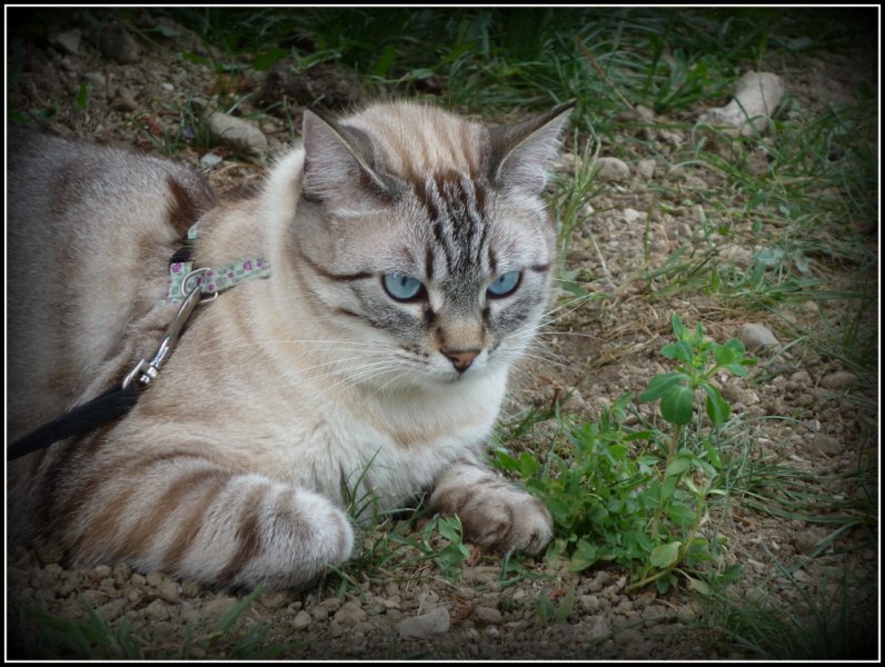 P1070208 [800x600].jpg