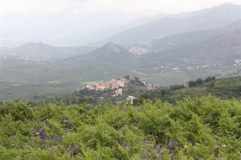 En Corse - Col de San Stefano