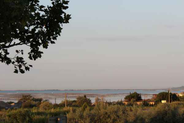 on reprend la route dernière vu superbe