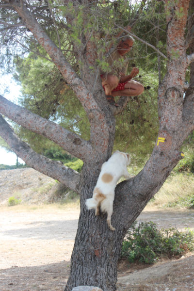 un peu d'exercice a sigean avec mon chien
