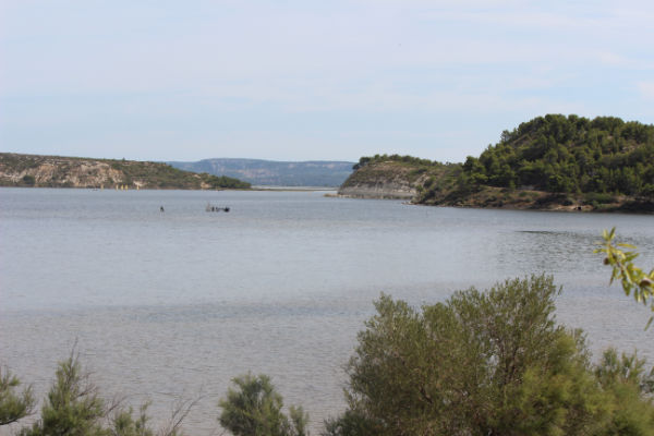 et cette vu depuis l'arbre